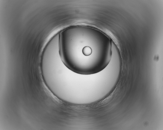 X0000093531384200710261242