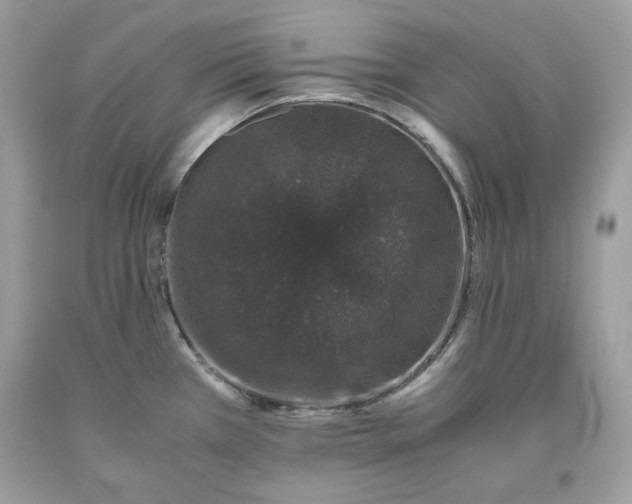 X0000093531385200710261242