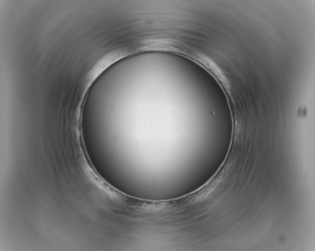 X0000093531386200710261242