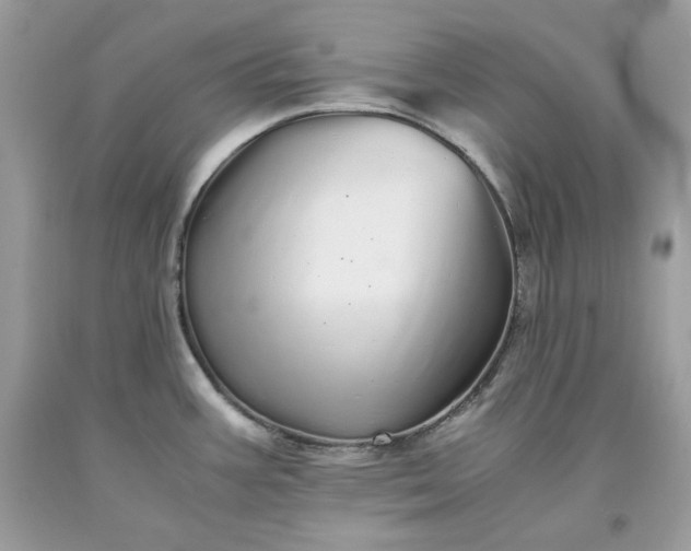 X0000093531387200710261242