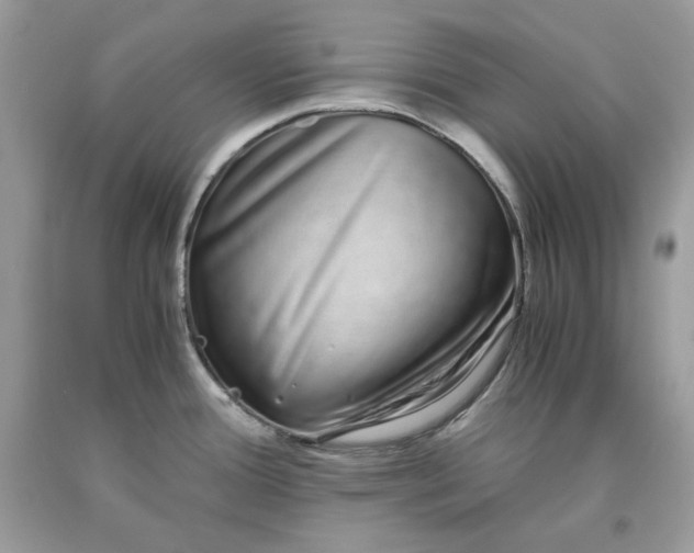 X0000093531388200710261242