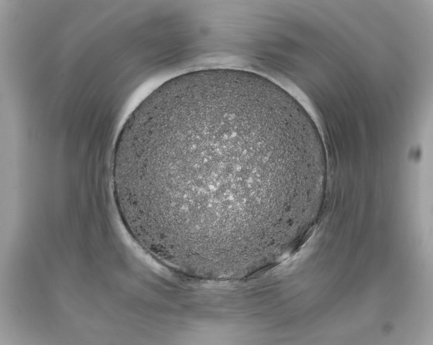 X0000093531389200710261242