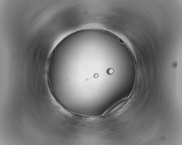 X0000093531390200710261242