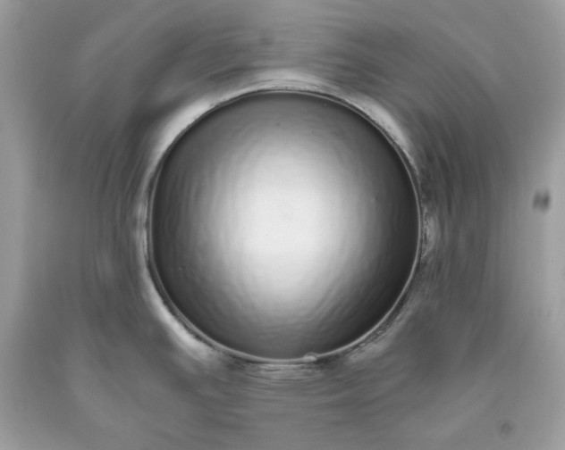 X0000093531391200710261242