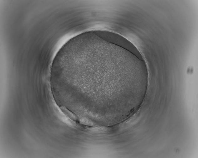 X0000093531392200710261242