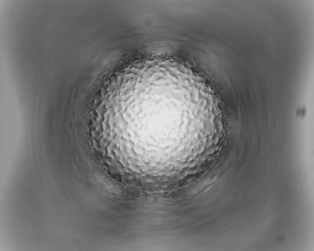 X0000093531393200710261241