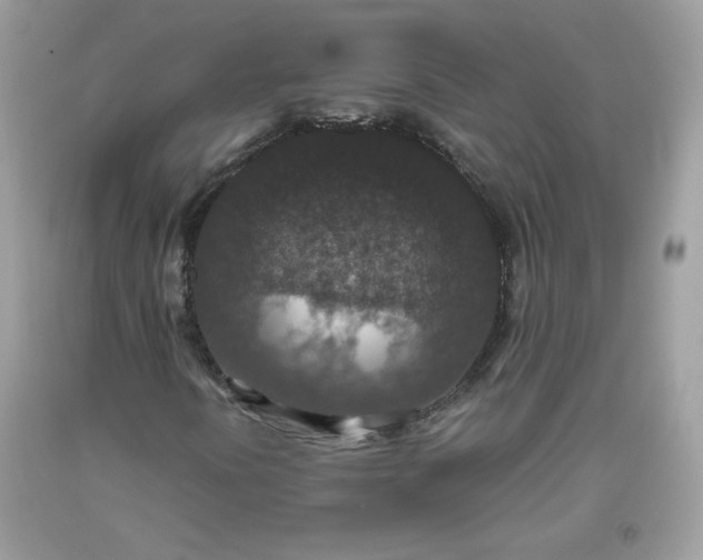 X0000093531394200710261241