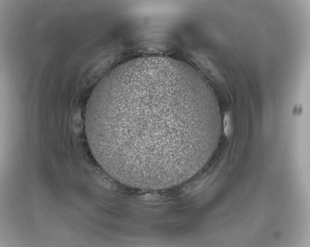 X0000093531395200710261241