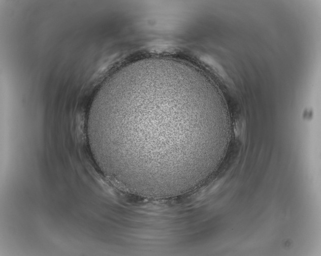 X0000093531396200710261241