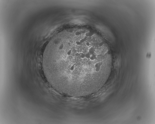 X0000093531397200710261241