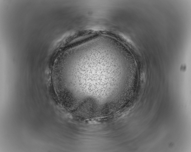 X0000093531398200710261241