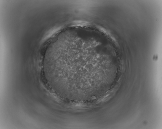 X0000093531399200710261241