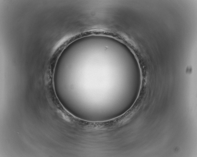 X0000093531400200710261241