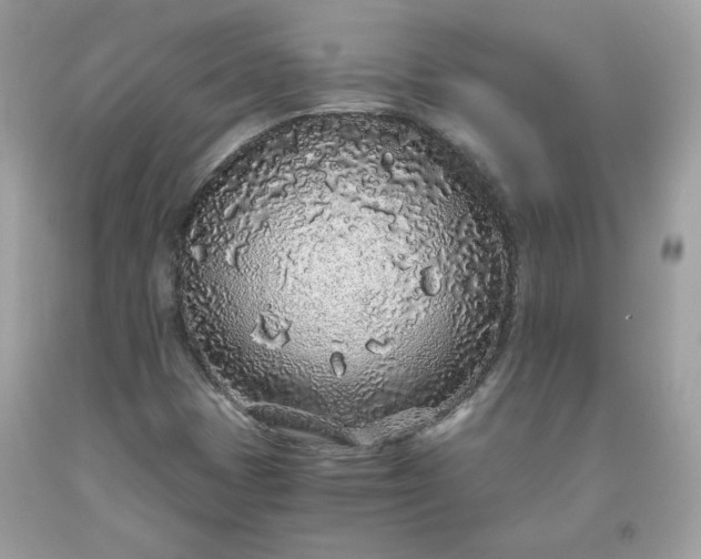 X0000093531401200710261241