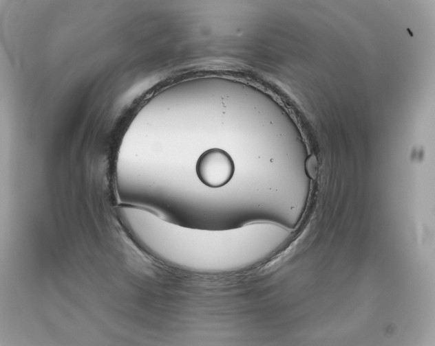 X0000093531402200710261241