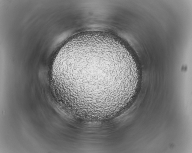 X0000093531403200710261241