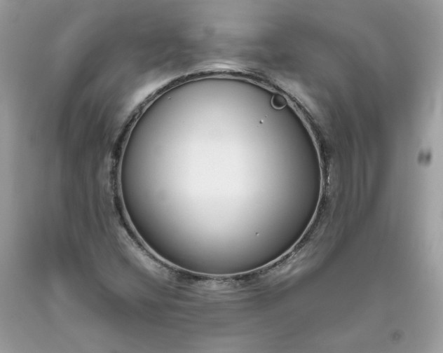 X0000093531404200710261241