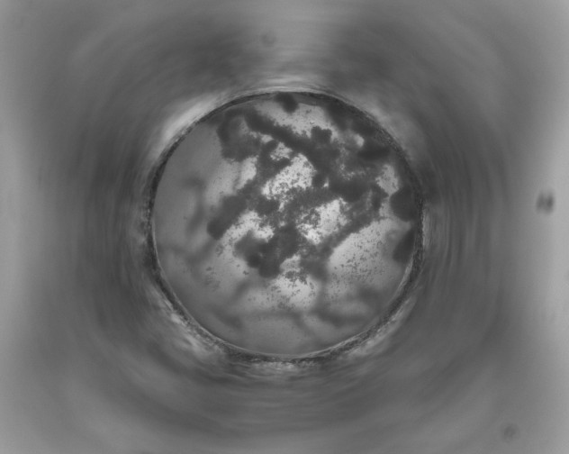 X0000093531405200710261241