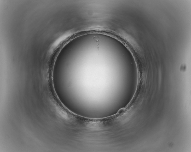 X0000093531406200710261241