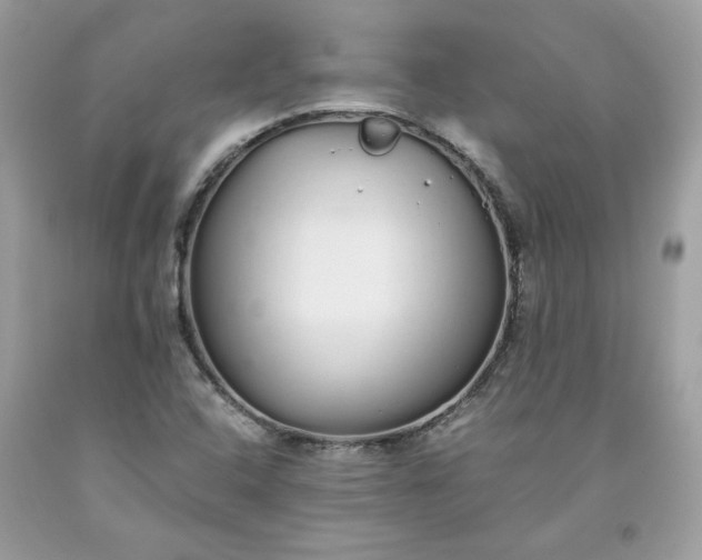 X0000093531408200710261241