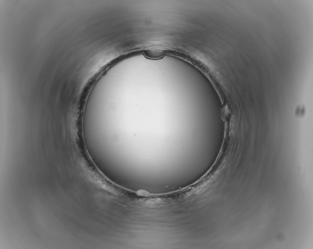 X0000093531410200710261241