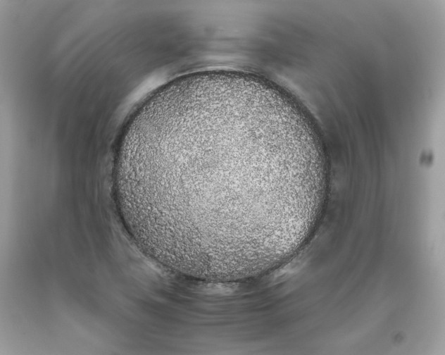 X0000093531411200710261241