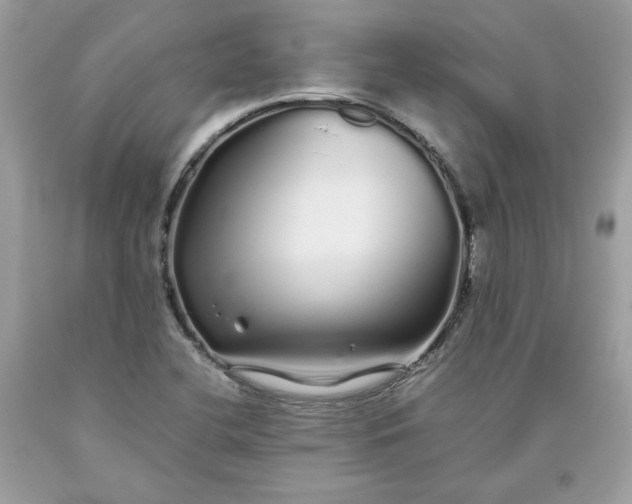 X0000093531412200710261241