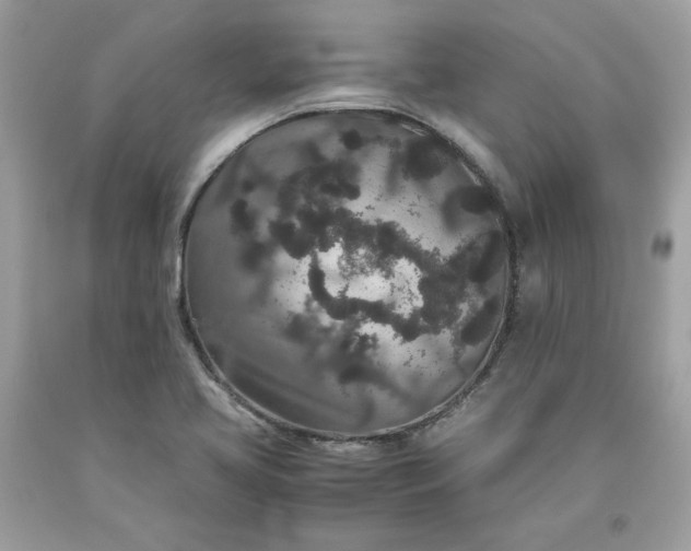 X0000093531413200710261241