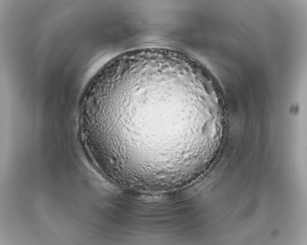 X0000093531415200710261241