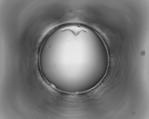 X0000093531416200710261241