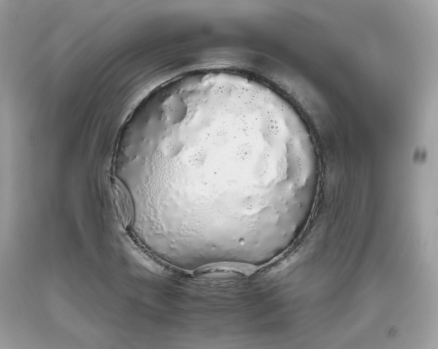 X0000093531417200710261241