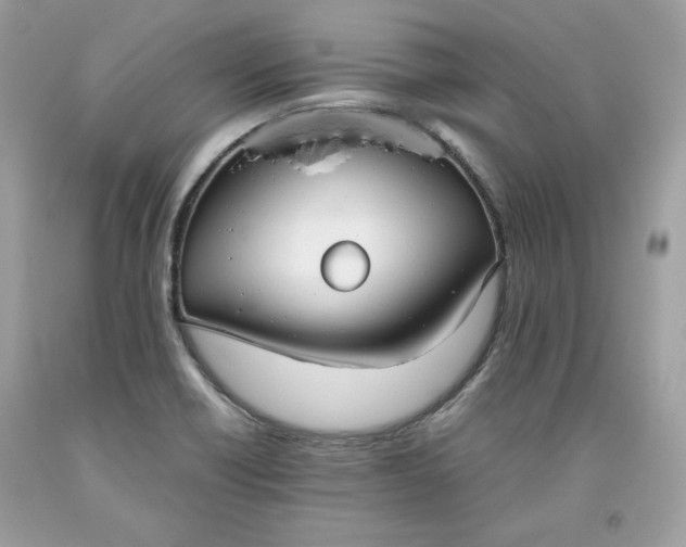 X0000093531418200710261241