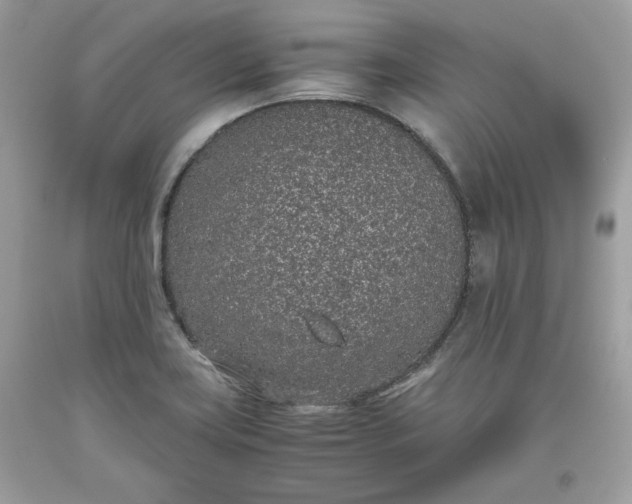 X0000093531419200710261241