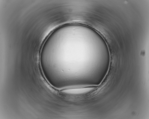 X0000093531420200710261241