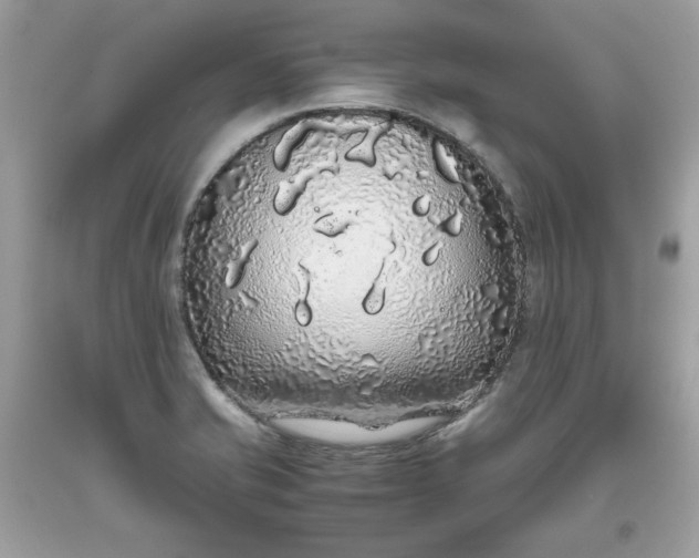 X0000093531421200710261241