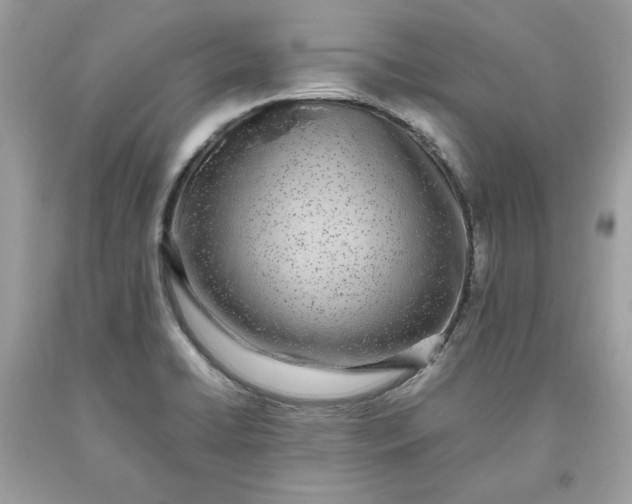 X0000093531422200710261241