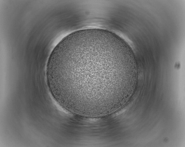 X0000093531423200710261241