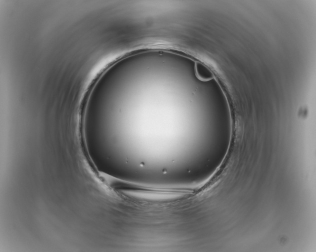 X0000093531424200710261241