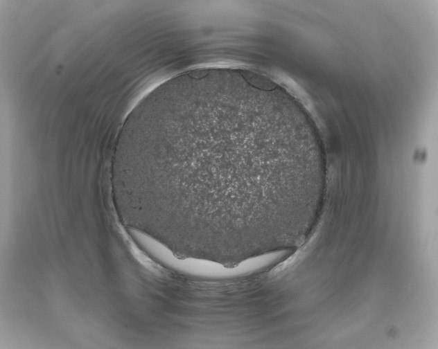 X0000093531425200710261241