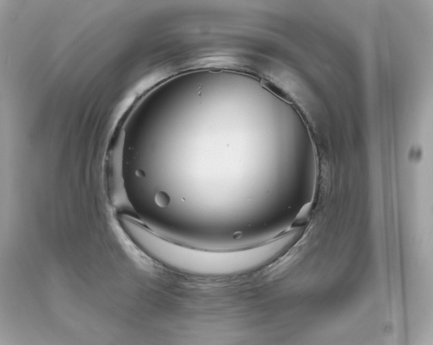 X0000093531426200710261241