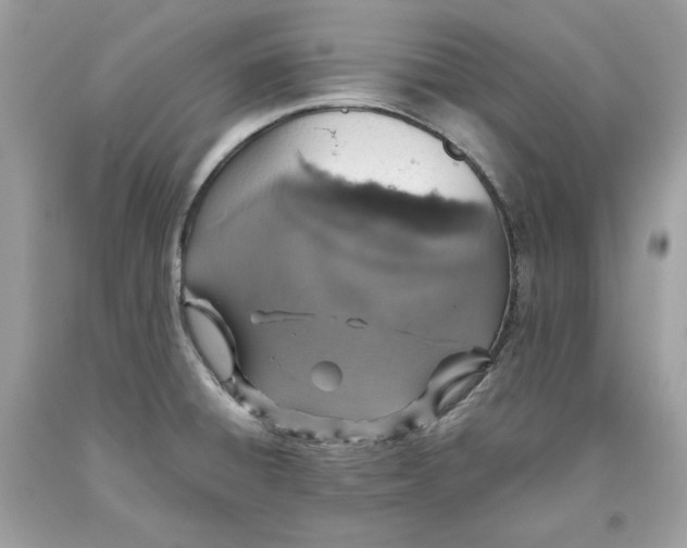 X0000093531428200710261241