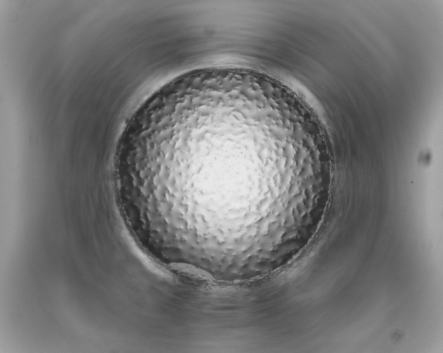 X0000093531429200710261241