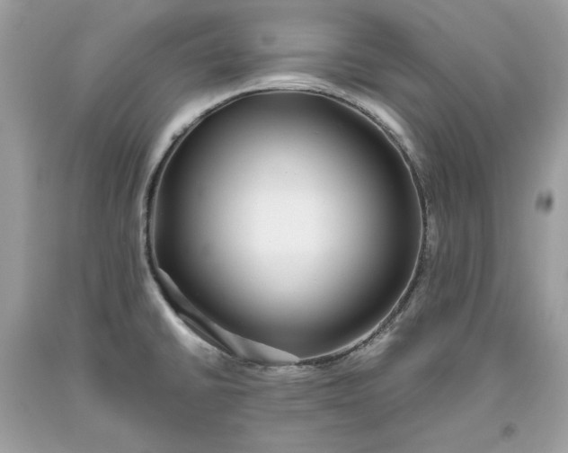 X0000093531430200710261241