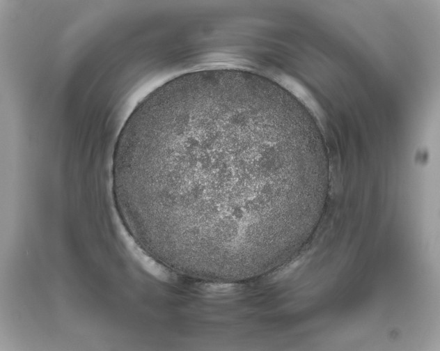 X0000093531431200710261241