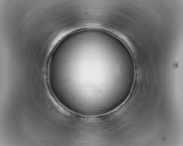 X0000093531432200710261241