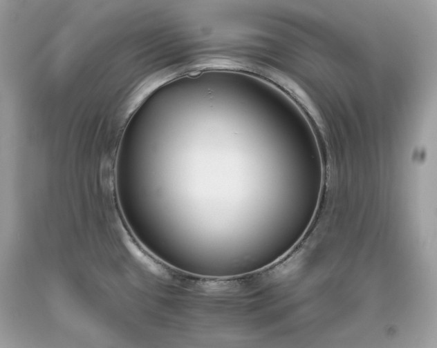 X0000093531433200710261241