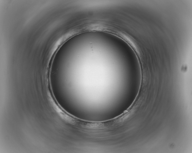 X0000093531434200710261241