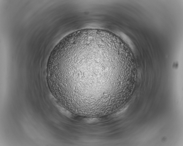 X0000093531435200710261241