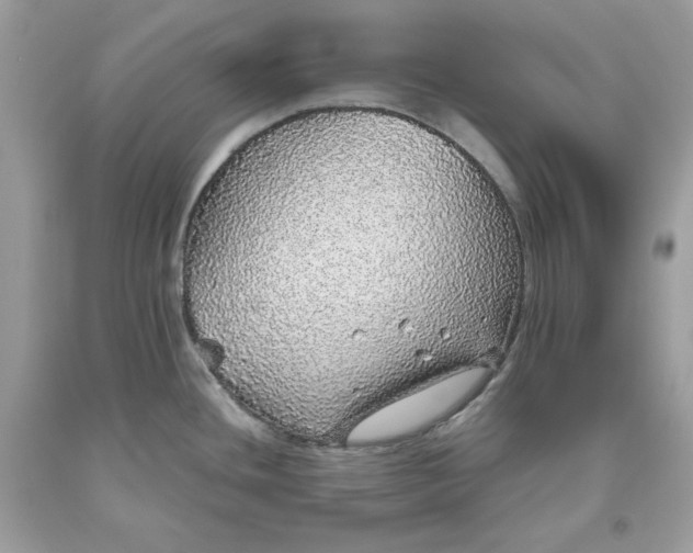 X0000093531436200710261241