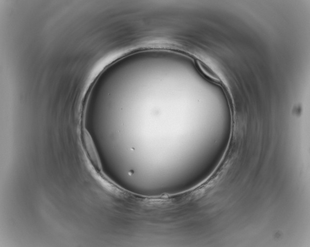 X0000093531437200710261241